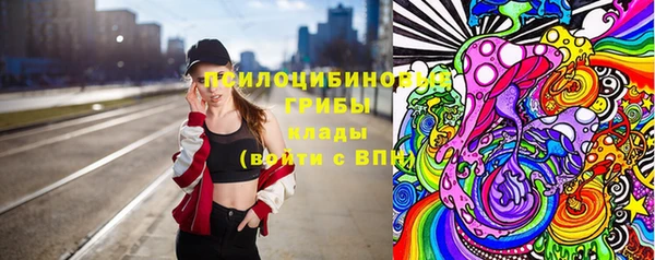гашик Белоозёрский