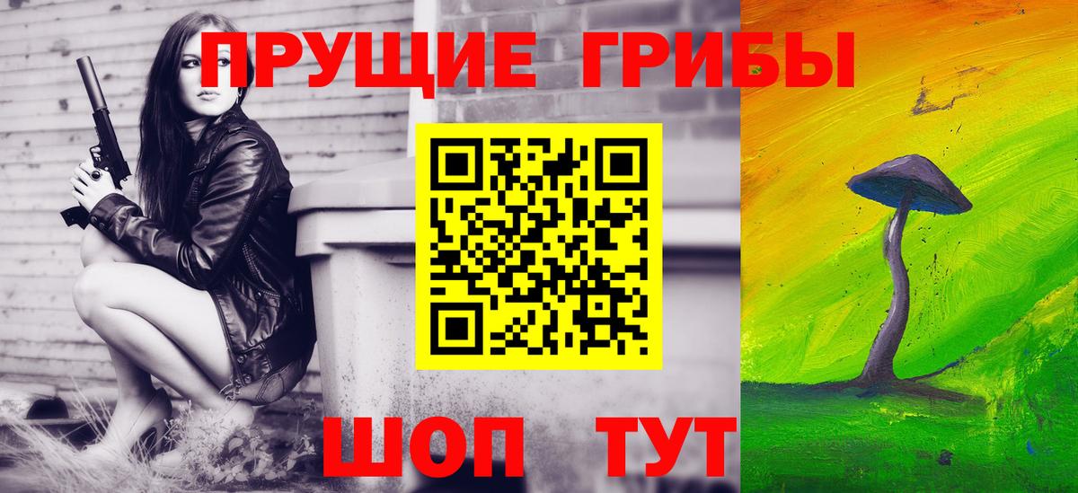 Псилоцибиновые грибы GOLDEN TEACHER Богородицк