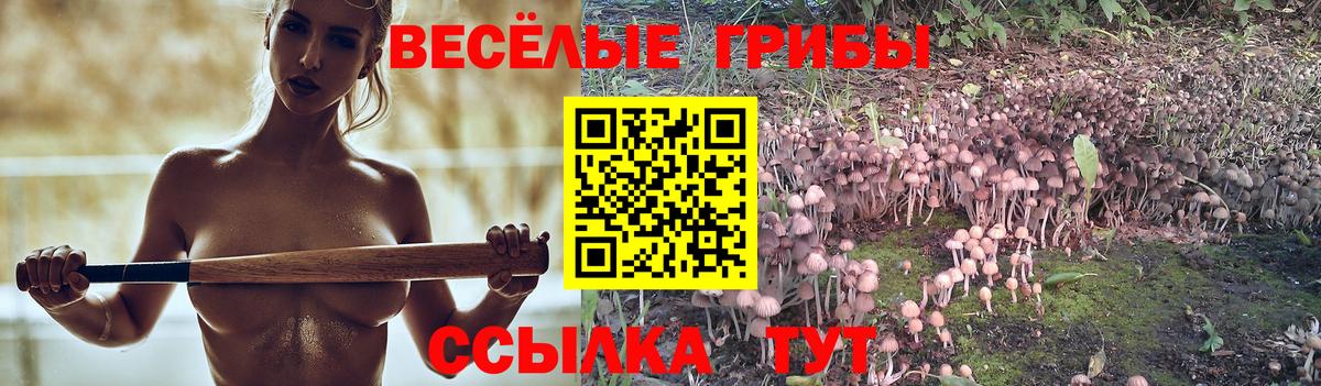 Богородицк  Псилоцибиновые грибы ЛСД  Вход с VPN 
